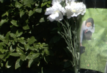 Quarta vittima in sei mesi sulla Marosticana. Dal Pra Caputo: “Basta stragi, lo Stato ci dia gli strumenti per fermarle” Kexin Yan, studentessa ventenne di origine cinese investita su Marosticana (frame da Rai TGR Veneto)