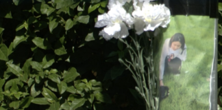 Quarta vittima in sei mesi sulla Marosticana. Dal Pra Caputo: “Basta stragi, lo Stato ci dia gli strumenti per fermarle” Kexin Yan, studentessa ventenne di origine cinese investita su Marosticana (frame da Rai TGR Veneto)