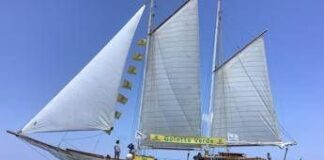 Mare, il bilancio di Goletta Verde: un punto inquinato ogni 80 km