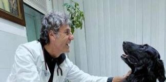 Nelle case degli italiani 8 milioni di cani, compagni ma anche un po’ medici