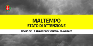 Forte temporale a Vicenza, auto danneggiata da un ramo in piazzale Bologna. Allerta gialla fino a venerdì allerta maltempo a vicenza