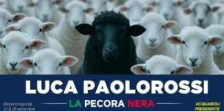 Paolorossi si candida alla Regione Marche: “Io ‘pecora nera’ che fa quello che dice”