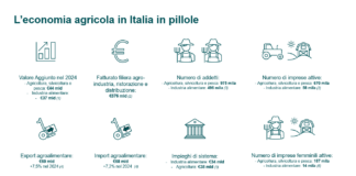 L’agricoltura italiana conquista la leadership europea nel 2025
