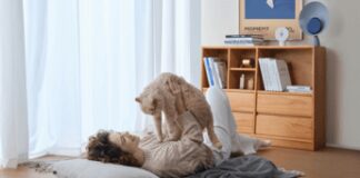 Rientro, i consigli del veterinario e l’aiuto della tecnologia per il benessere dei pet