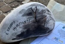 Comitato Tuteliamo la Salute: progetto Silva è delle deroghe, si approvino subito le zone di salvaguardia Silva progetto rifiuti montecchio precalcino