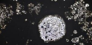 Svelata la vera età di Giove