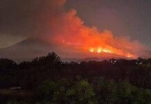 Incendio sul Vesuvio, Zaia invia aiuti dal Veneto: “Pronti a fare tutto il possibile per aiutare la Campania” Vesuvio in fiamme, vasto incendio nel parco nazionale: operativi 6 Canadair
