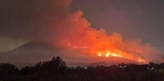 Incendio sul Vesuvio, Zaia invia aiuti dal Veneto: “Pronti a fare tutto il possibile per aiutare la Campania” Vesuvio in fiamme, vasto incendio nel parco nazionale: operativi 6 Canadair