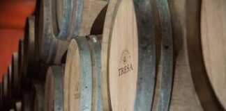Vino: con Santa Tresa torna in etichetta il vitigno siciliano ‘scomparso’ Orisi