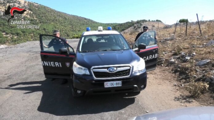carabinieri-forestale