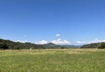 Bacino dell’Onte, cantieri al via nel 2028? Rucco non ci sta: “Inaccettabili tre anni di attesa, Possamai faccia la sua parte” bacino sul torrente onte