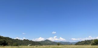 Bacino dell’Onte, cantieri al via nel 2028? Rucco non ci sta: “Inaccettabili tre anni di attesa, Possamai faccia la sua parte” bacino sul torrente onte