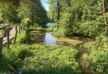 Silva, dai sindaci del consorzio Ato Bacchiglione sì alle zone di salvaguardia di Villaverla e Dueville: nuovo impianto bloccato per legge Silva zone di salvaguardia dueville acquedotto