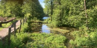 Silva, dai sindaci del consorzio Ato Bacchiglione sì alle zone di salvaguardia di Villaverla e Dueville: nuovo impianto bloccato per legge Silva zone di salvaguardia dueville acquedotto