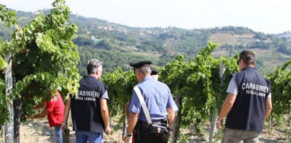 Controlli contro il caporalato in aziende agricole nel nisseno, multe e una denuncia