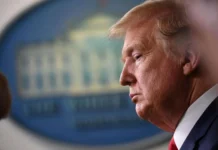 Ucraina, Trump: “Putin e Zelensky organizzano incontro, ora meglio senza di me” Putin Zelensky