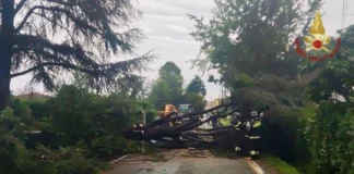 Maltempo al centronord, alberi caduti e allagamenti: oltre 1300 gli interventi dei Vigili del Fuoco maltempo