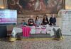 Ottobre rosa a Vicenza: tante iniziative per sensibilizzare su prevenzione e diagnosi precoce dei tumori femminili. Domani l’open day presentazione ottobre rosa a vicenza