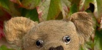 “A Teddy Bear serve un nuovo look”. L’appello della scienza per peluche eco-maestri