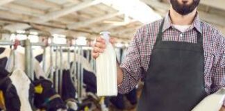 Agricoltura, Ismea: filiera lattiero casearia cresce e si rafforza sui mercati esteri