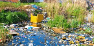 Ambiente, ‘se malato influisce sul software del Dna’, appello medici per proteggere bimbi