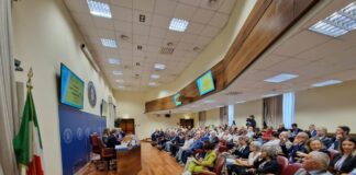 FAI, Cirone “Serve un ultimo sforzo a tutela della nostra apicoltura”