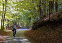 Al via la prima edizione di “Ciclovia della Salute” nei Parchi della Calabria