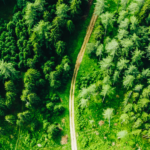 Vicenza al centro della transizione ecologica: 11 progetti su clima e natura finanziati da Fondazione Cariverona Capitale Naturale fondazione cariverona vicenza