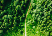 Vicenza al centro della transizione ecologica: 11 progetti su clima e natura finanziati da Fondazione Cariverona Capitale Naturale fondazione cariverona vicenza