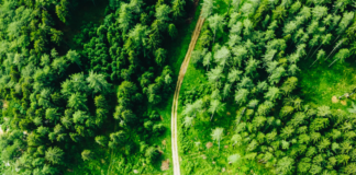 Vicenza al centro della transizione ecologica: 11 progetti su clima e natura finanziati da Fondazione Cariverona Capitale Naturale fondazione cariverona vicenza