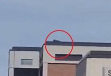 Charlie Kirk ucciso, ipotesi cecchino sul tetto: il video