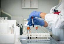 Chikungunya, secondo caso a Novellara