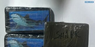 Trasportavano in taxi 6kg di cocaina, due arresti a Siracusa