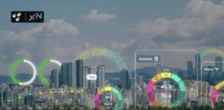 Crediti di Biodiversità: la risposta al “deserto urbano” delle città italiane