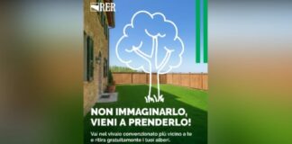 In Emilia-Romagna riparte la distribuzione gratuita di alberi e piante