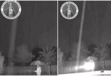 Esce in giardino per cercare il gatto, un fulmine cade a pochi metri