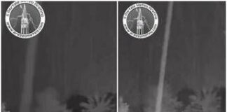 Esce in giardino per cercare il gatto, un fulmine cade a pochi metri