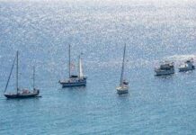 “Ha morso un agente”, tre giorni di detenzione in più per attivista spagnola della Flotilla