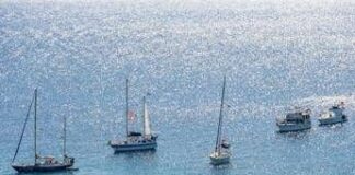 “Ha morso un agente”, tre giorni di detenzione in più per attivista spagnola della Flotilla