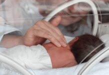 Ia, verso una dieta personalizzata per i neonati prematuri