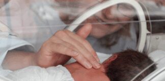 Ia, verso una dieta personalizzata per i neonati prematuri