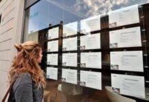 Lavoro, disoccupazione scende al 6% a ottobre: al 19,8% tra i giovani