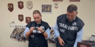 Prodotti cosmetici tossici e cancerogeni sequestrati dal Nas di Napoli