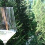 Nel turismo enogastronomico sempre più richiesto il product manager