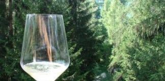 Nel turismo enogastronomico sempre più richiesto il product manager
