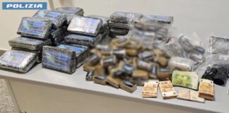 70 kg di droga nascosti nel box condominiale, arrestato un 30enne a Roma / Video