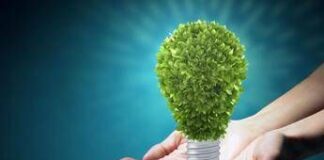 Premi ‘Pimby (Please In My Back Yard) Green 2025’, i vincitori