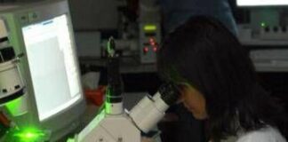 Sclerosi multipla, nuovi criteri per diagnosi più rapide e precise