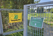 Puliamo il Mondo 2025, Legambiente Vicenza: i volontari riportano bellezza e attenzione lungo il Bacchiglione Legambiente Vicenza: Puliamo il mondo