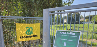Puliamo il Mondo 2025, Legambiente Vicenza: i volontari riportano bellezza e attenzione lungo il Bacchiglione Legambiente Vicenza: Puliamo il mondo